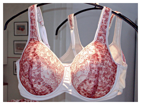 bra-for-larger-sizes